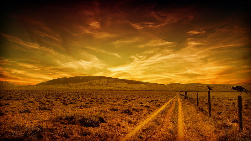 Dirt Path in Desert