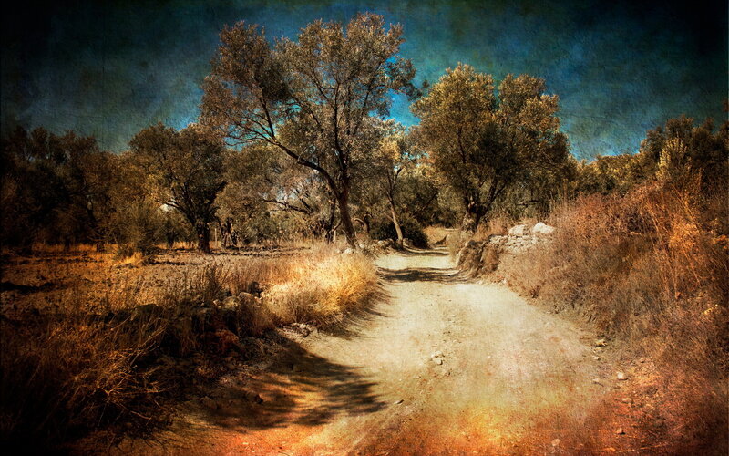 Dirt Path in Dry Landscape