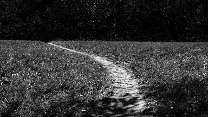 Dirt Path in Field — Black