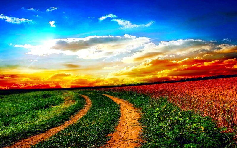 Dirt Path in Field — Blue, Dramatic, Sunset, Photograph, Sky