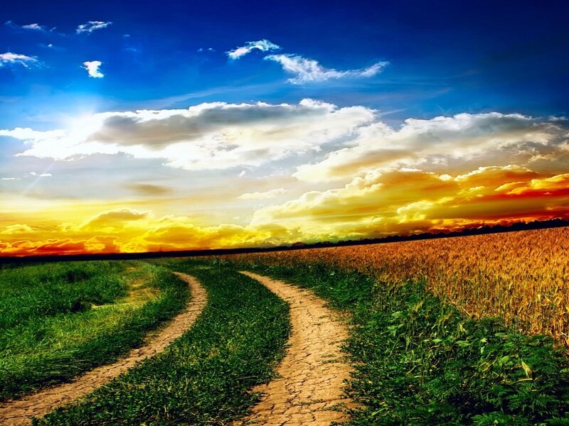 Dirt Path in Field — Blue, Dramatic, Sunset, Photograph