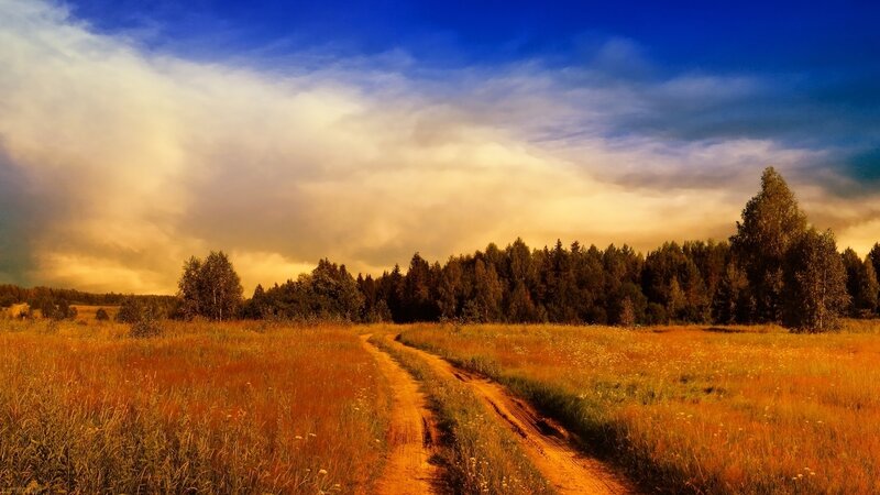 Dirt Path in Field — Blue, Dramatic, Sunset, Photograph, Trees
