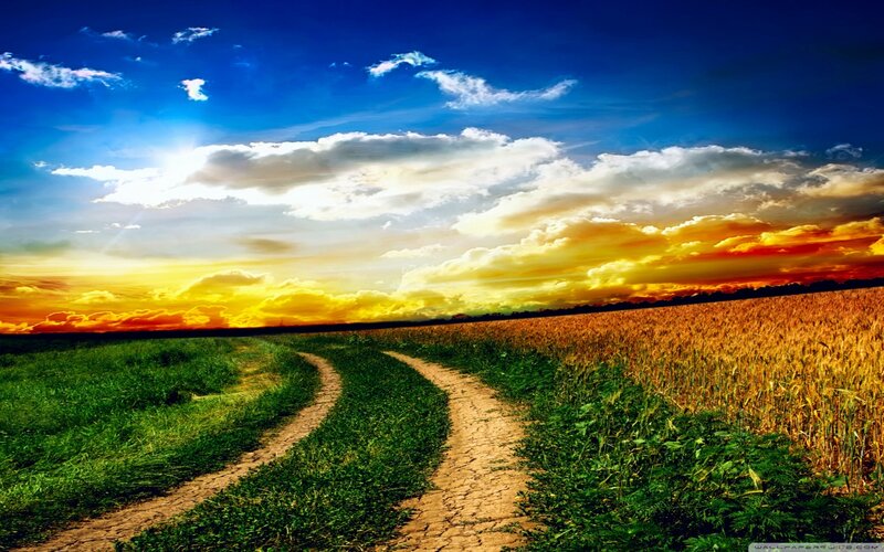 Dirt Path in Field — Blue, Dramatic, Sunset