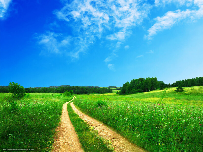 Dirt Path in Field — Blue, Serene, Afternoon