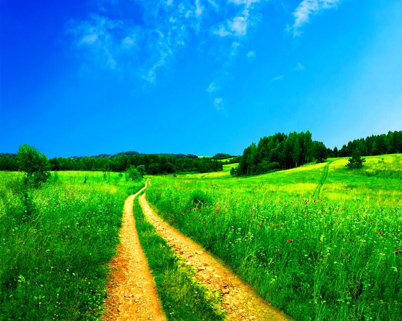 Dirt Path in Field — Blue, Serene