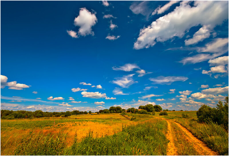 Dirt Path in Field — Blue