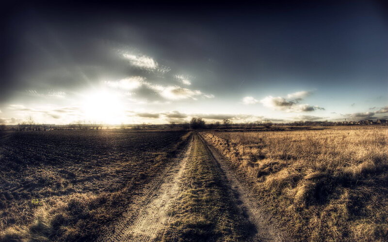 Dirt Path in Field — Brown, Dramatic
