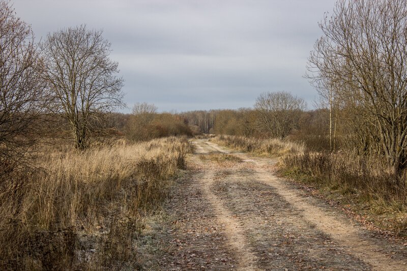 Dirt Path in Field — Brown, Dreary