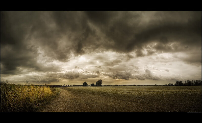 Dirt Path in Field — Brown