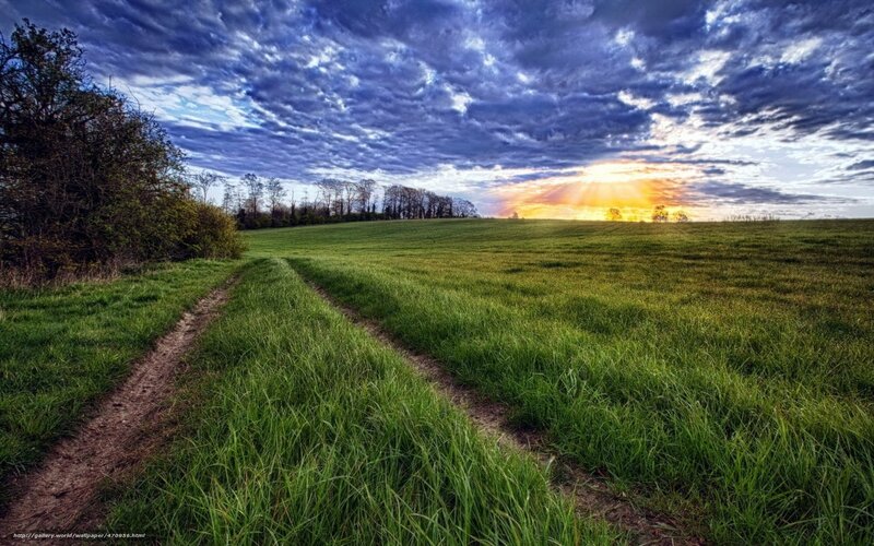 Dirt Path in Field — Dramatic