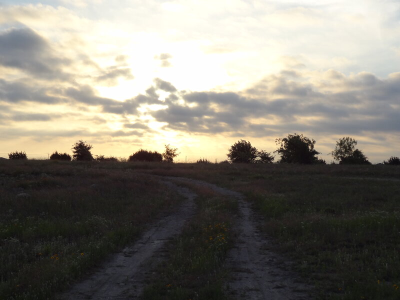 Dirt Path in Field — Gray