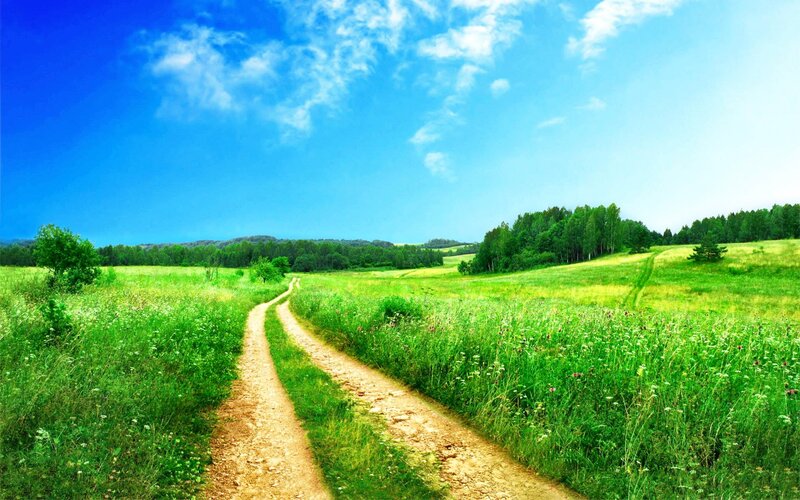 Dirt Path in Field — Green, Afternoon