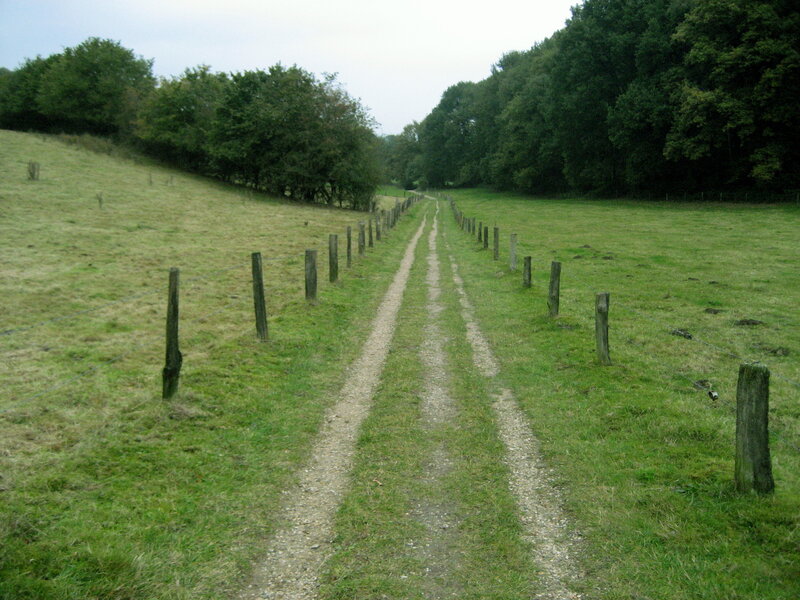Dirt Path in Field — Green, Calm, Afternoon