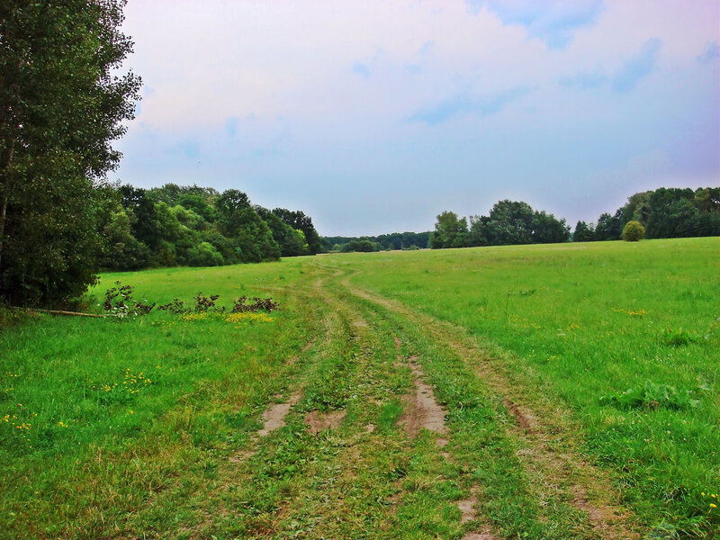 Dirt Path in Field — Green, Calm