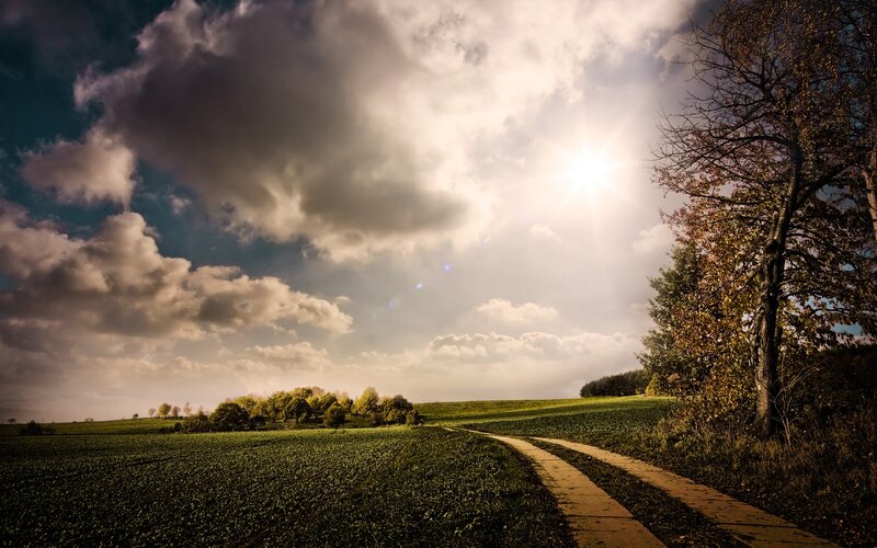 Dirt Path in Field — Green, Dramatic, Afternoon, Photograph, Clouds, Sun, Trees