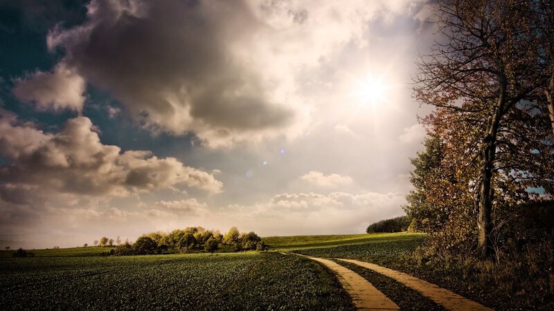 Dirt Path in Field — Green, Dramatic, Afternoon, Photograph, Clouds