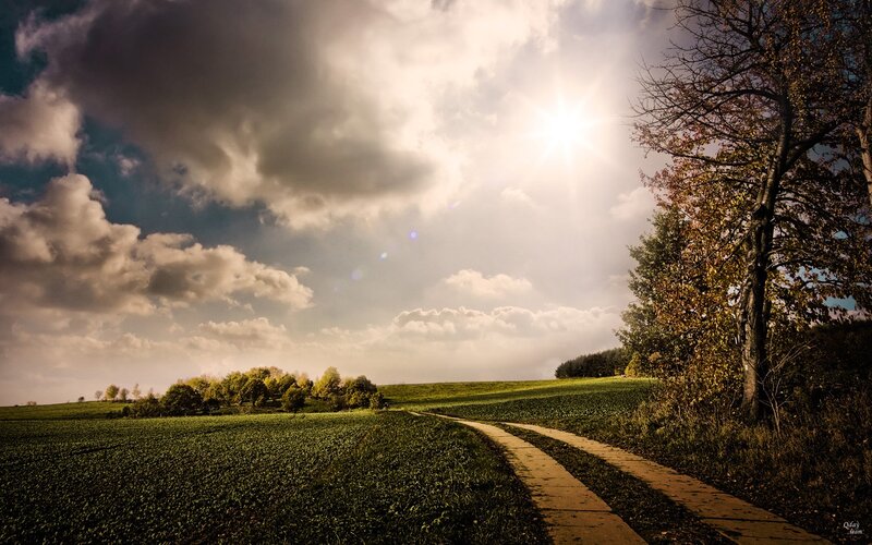 Dirt Path in Field — Green, Dramatic, Afternoon, Photograph, Sun, Clouds