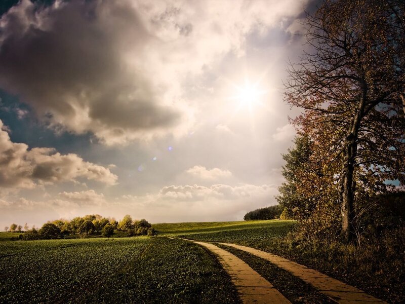 Dirt Path in Field — Green, Dramatic, Afternoon, Photograph, Sun, Clouds, Trees