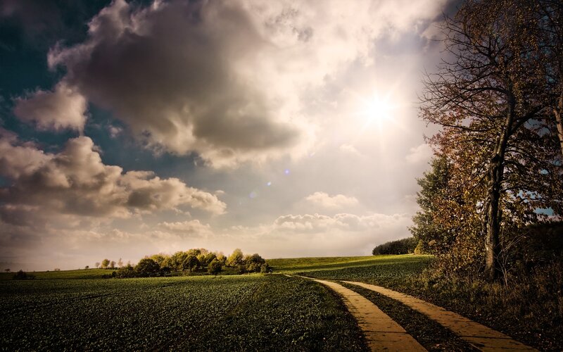 Dirt Path in Field — Green, Dramatic, Afternoon, Photograph, Sun
