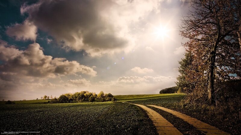 Dirt Path in Field — Green, Dramatic, Afternoon, Photograph