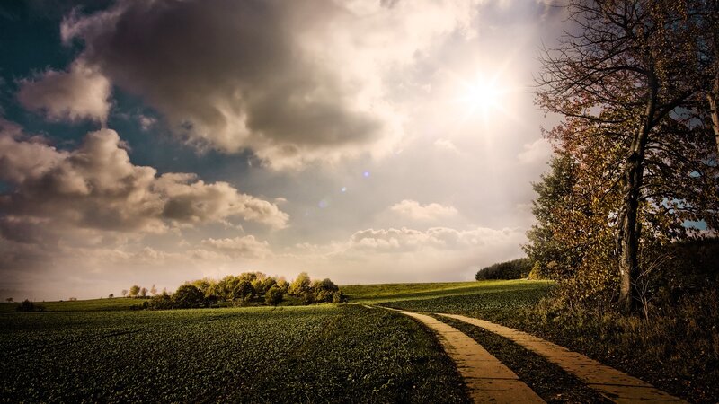 Dirt Path in Field — Green, Dramatic, Afternoon, Photograph, Trees, Clouds