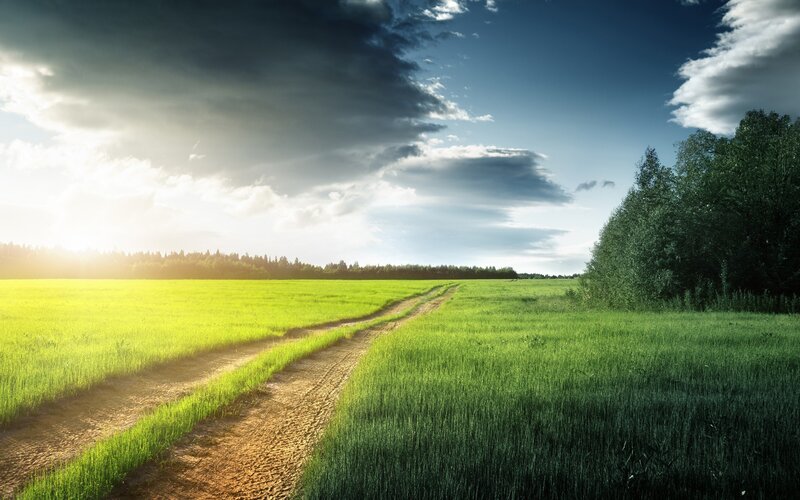 Dirt Path in Field — Green, Dramatic, Afternoon, Photograph, Trees, Sky