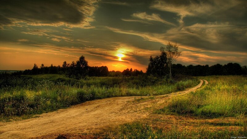 Dirt Path in Field — Green, Dramatic, Sunset, Photograph, Sun, Trees, Sky