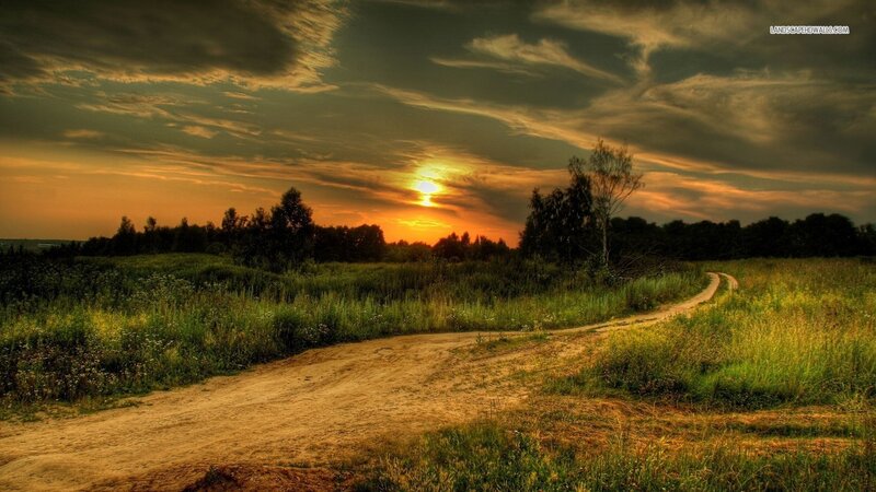 Dirt Path in Field — Green, Dramatic, Sunset, Photograph, Sun, Trees