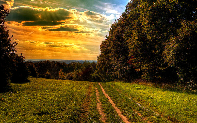 Dirt Path in Field — Green, Dramatic, Sunset, Photograph