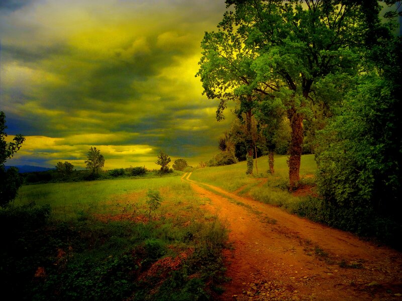 Dirt Path in Field — Green, Dramatic, Sunset, Photograph, Trees, Clouds
