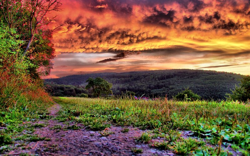 Dirt Path in Field — Green, Dramatic, Sunset, Photograph, Trees, Hills