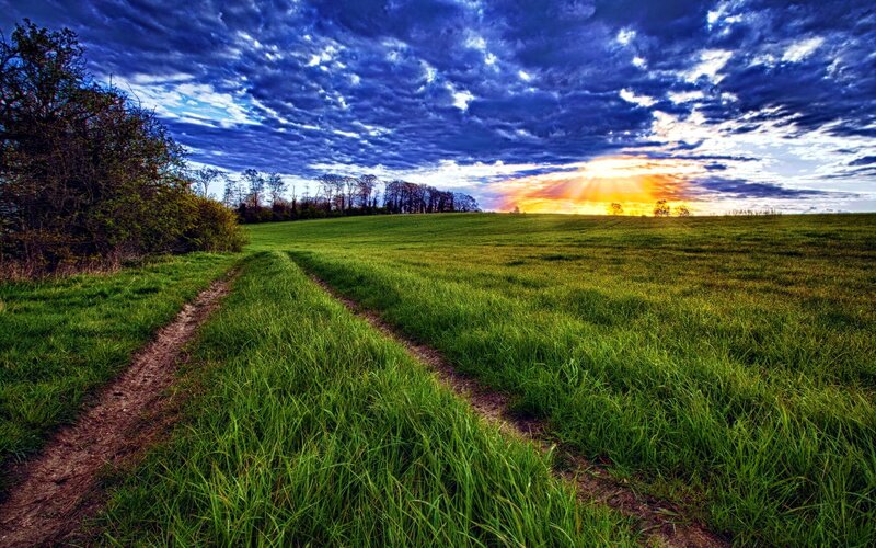 Dirt Path in Field — Green, Dramatic, Sunset, Photograph, Trees, Sky