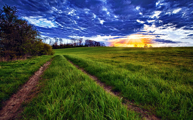 Dirt Path in Field — Green, Dramatic, Sunset, Photograph, Trees