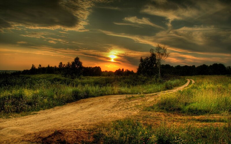 Dirt Path in Field — Green, Dramatic