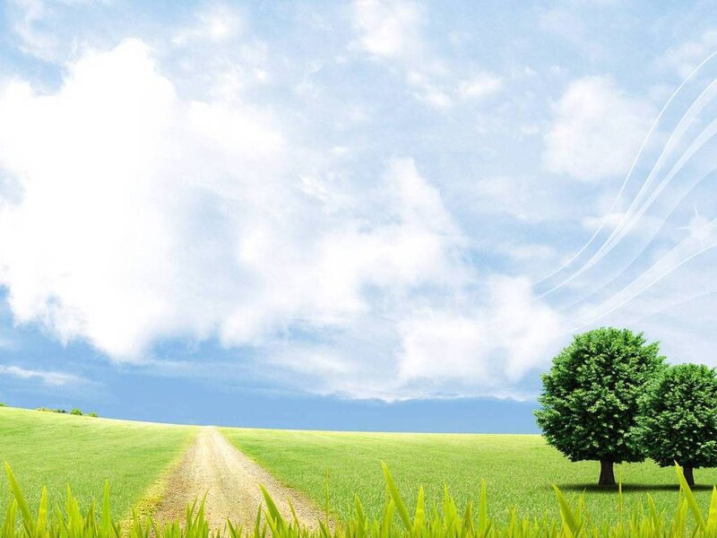 Dirt Path in Field — Green, Serene, Afternoon, Digital Art