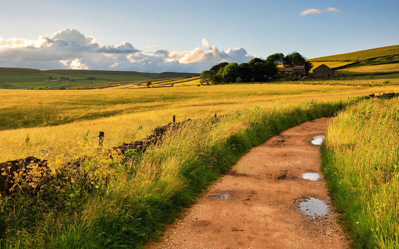 Dirt Path in Field — Green, Serene, Afternoon, Photograph, House