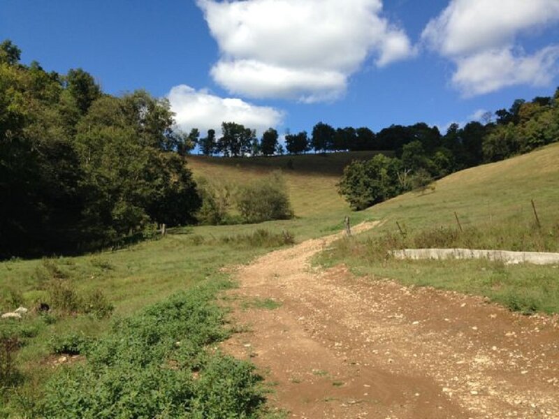 Dirt Path in Field — Green, Serene, Afternoon, Photograph, Trees, Hills