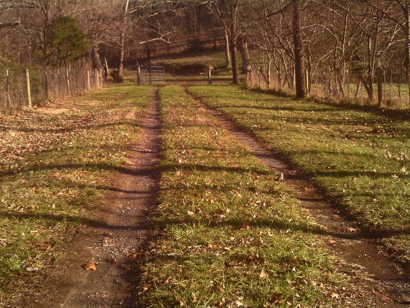 Dirt Path in Field — Green, Serene, Autumn