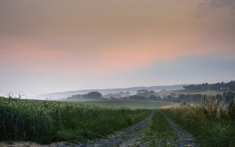 Dirt Path in Field — Green, Serene, Morning, Photograph, Hills