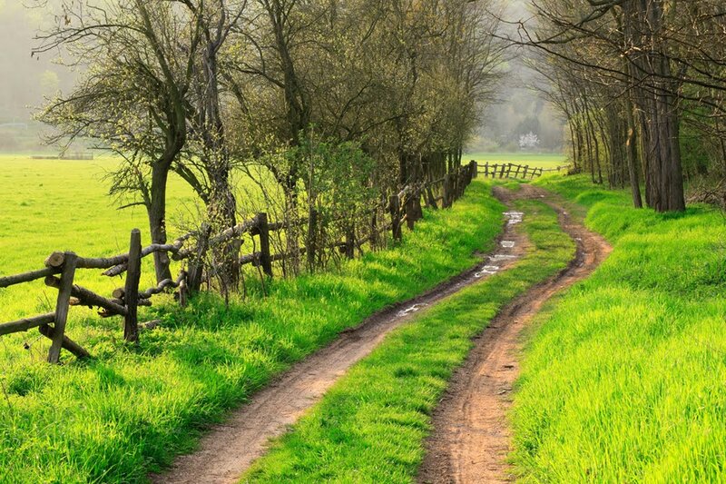 Dirt Path in Field — Green, Serene, Spring
