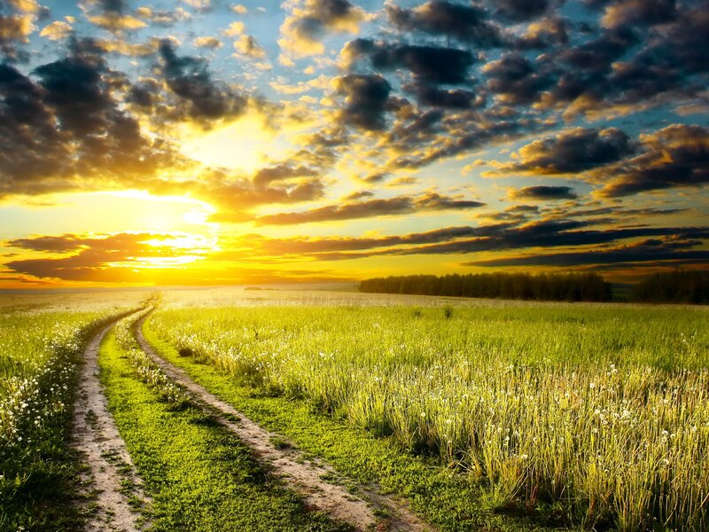 Dirt Path in Field — Green, Serene, Sunset, Photograph, Clouds