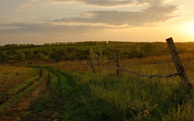 Dirt Path in Field — Green, Serene, Sunset, Photograph, Fence, Trees, Sky
