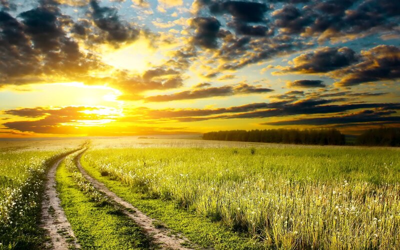 Dirt Path in Field — Green, Serene, Sunset, Photograph, Sky, Clouds