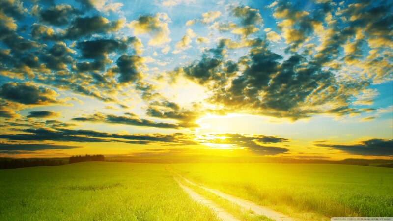 Dirt Path in Field — Green, Serene, Sunset, Photograph, Sky