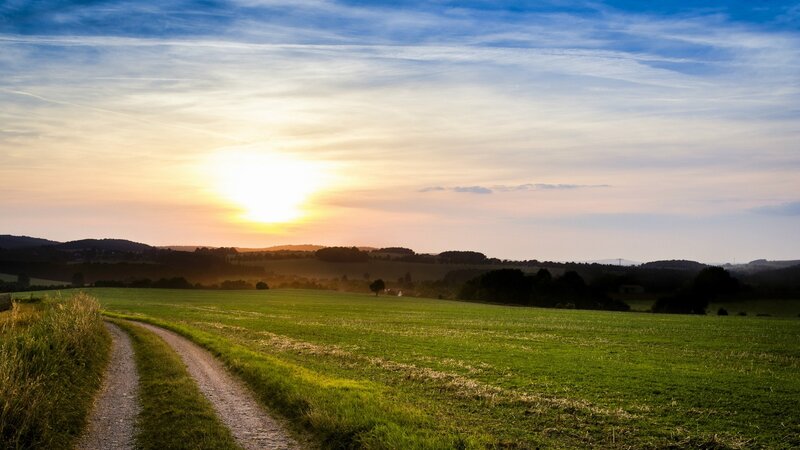 Dirt Path in Field — Green, Serene, Sunset, Photograph, Sun