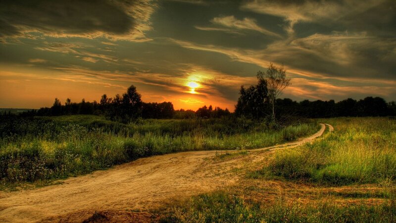 Dirt Path in Field — Green, Serene, Sunset, Photograph, Sun, Trees