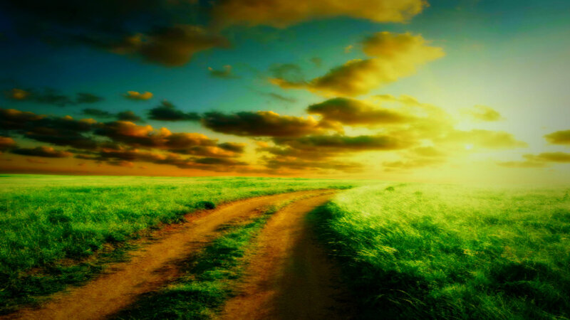 Dirt Path in Field — Green, Serene, Sunset, Photograph