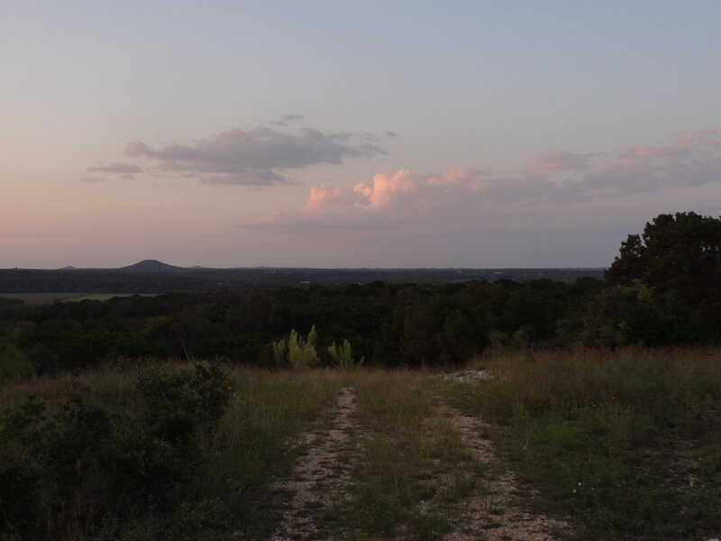 Dirt Path in Field — Green, Serene, Sunset