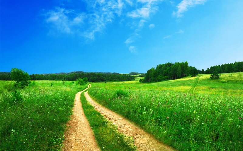 Dirt Path in Field — Green, Serene