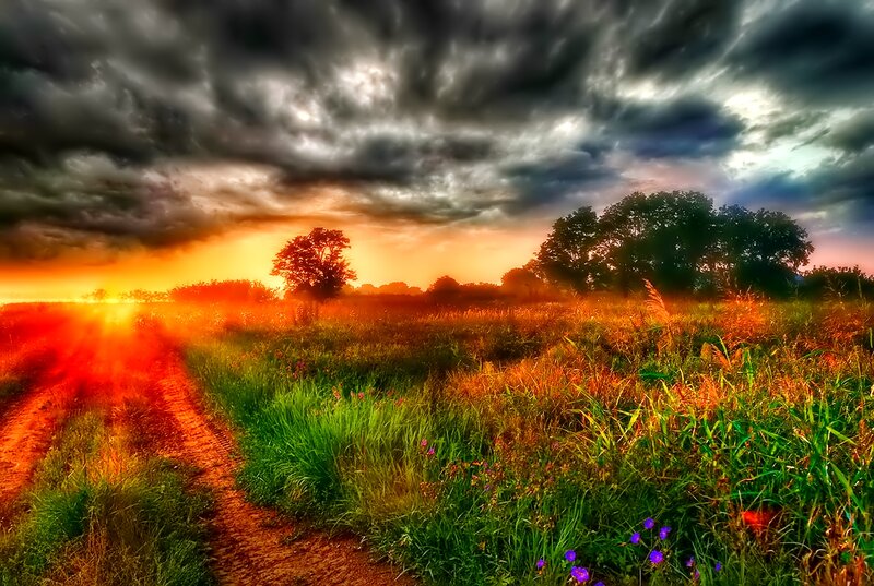 Dirt Path in Field — Orange, Dramatic, Sunset, Photograph